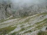 dsc07319
