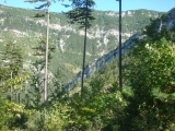 dsc07475
