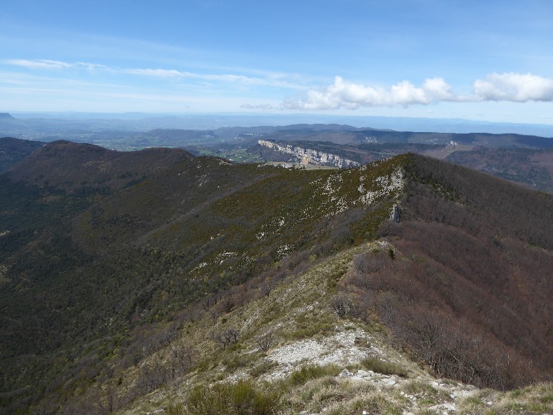 De la Tête de la Dame au Bec Pointu