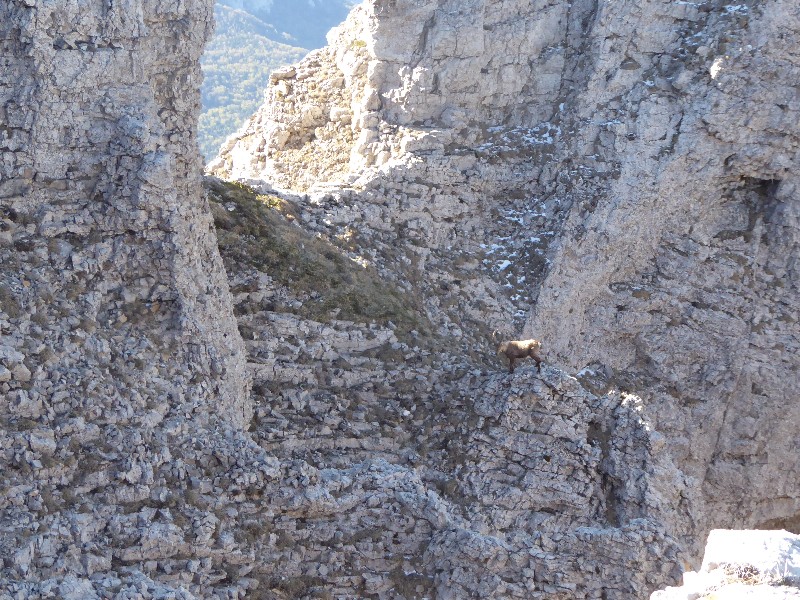 le grand tour du plateau de beurre